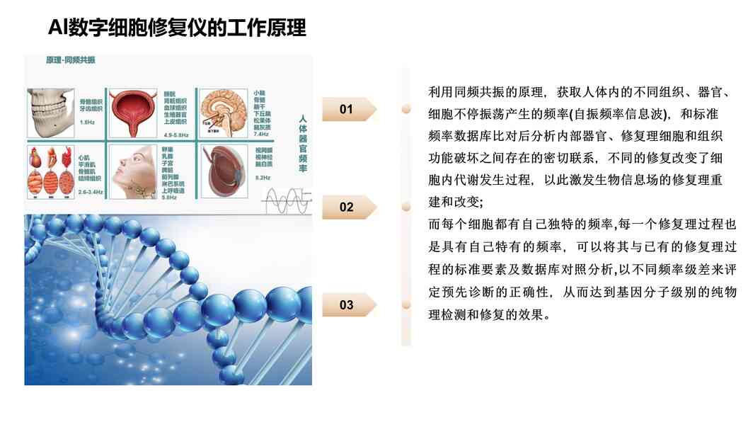 幻灯片3.jpg